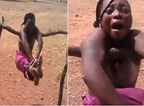 African Woman Hogtied to a Wooden Pole.