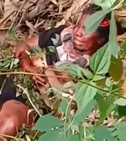 Lady Mutilated and Left Agonizing in the Jungle.