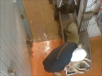 Lamb quartered by slaughterhouse worker 