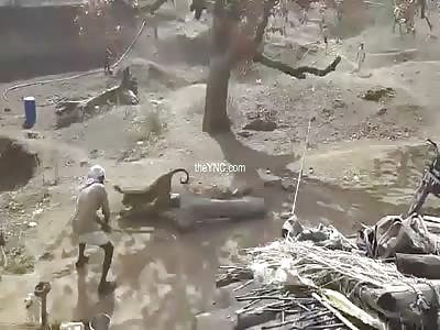 The man defends the attack of a leopard