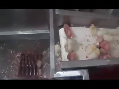This Is How Sausages Are Made