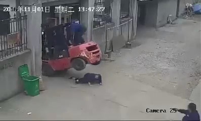 (Better Quality) Woman Being Crushed to Death By forklift  
