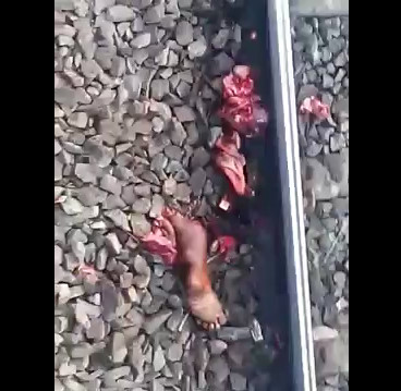 Man Was Turned in Pieces on the Rails