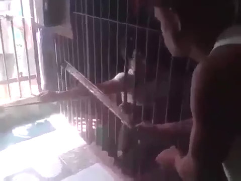 Inmate Gets his Arms Broken With Blows From a Steel Bar in Brazil Prison