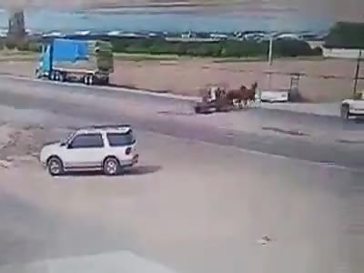 Horse-drawn car rammed by truck, 2 dead