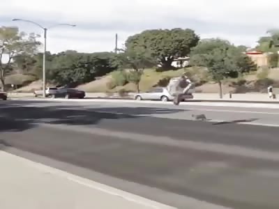 Crazy man saving a cat in traffic 
