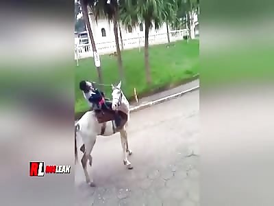 THE DRUNK AND THE HORSE