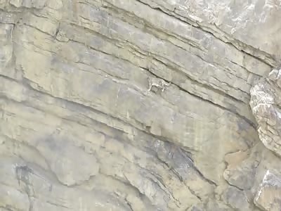 SNOW LEOPARD FALLING DOWN FROM MOUNTAIN CLIFF
