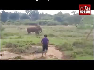 WOW - DRUNK MAN BEING SMASHED BY ELEPHANT