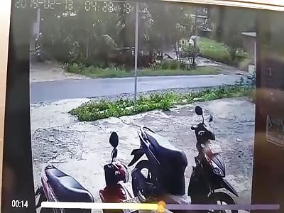WOMAN AND MOTORCYCLE: EXPECTED RESULT