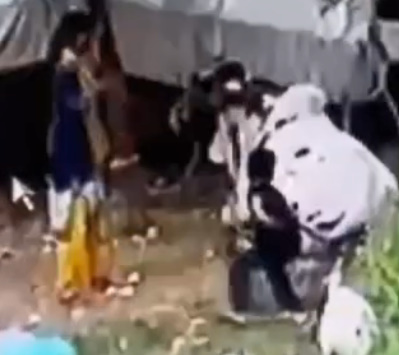  Dangerous Cow Hit On A Small Kid 