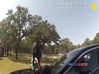 Bodycam Shows Goat Jumping on Police Car