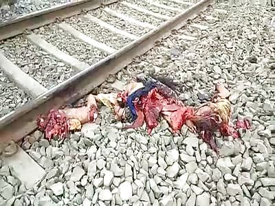 Woman Destroyed by Train (Suicide)