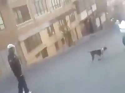 pitbull man defends himself with a machete