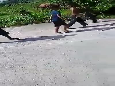 A fight of Canadian native infants, broadcast by NatGeo