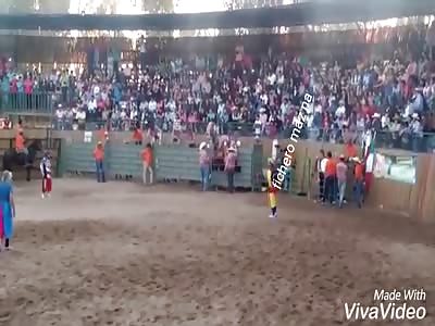 Bullfighting art
