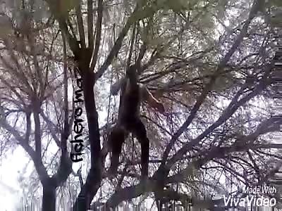 Suicide man hanging