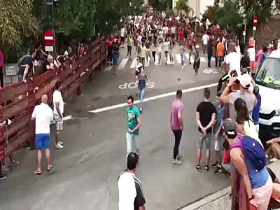 Giant ball hits man and leaves him unconscious