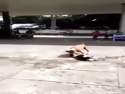 SHOCKER: woman tries to save puppy from being killed by a pit bull