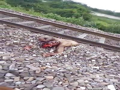 ACCIDENT: man's body is found split in two by train