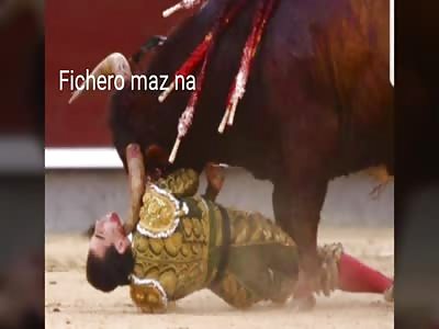 BRUTAL: Spanish loves to be caught by the bull