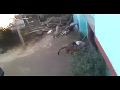 MAN FIGHT WITH LEOPARD