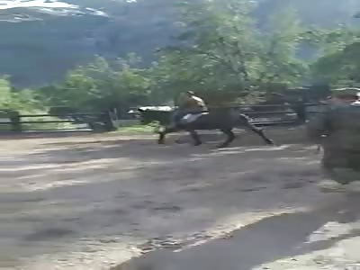 MAN FALLS HORSE