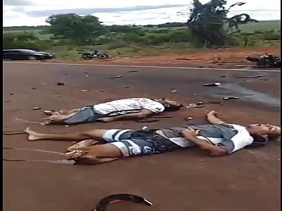 Complete Aftermath Carnage of Roadkill Victim in Brazil