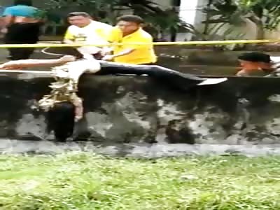 BODY IS PULLED OUT OF CROCODILE POND