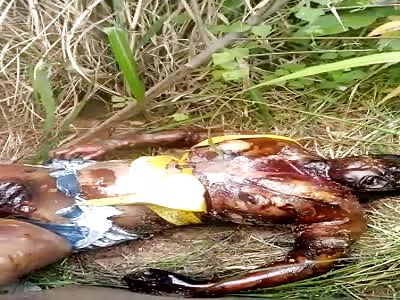 Decomposing Female Corpse Found (Brazil)