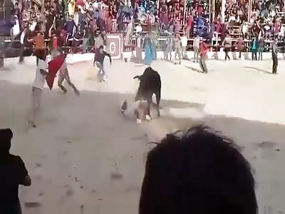 CRAZY COW WINS THE FIGHT!
