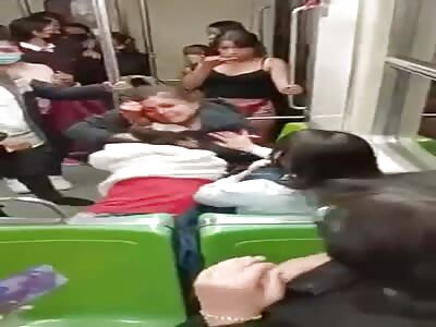 Brutal and Bloody Cat Fight on Subway.