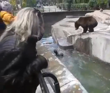 Drunk Man Attacked Bear in Zoo Warszawa, Poland