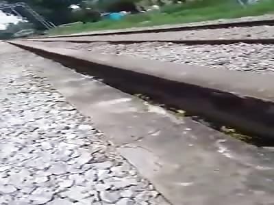 train wins