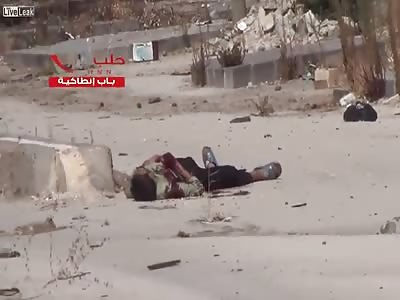 WELL EXECUTED SNIPER ACTION SYRIAN ARAB ARMY - FSA TERRORISTS HANDED ASS KICKING