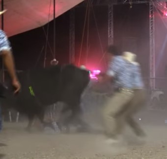 Mexican bullfighter fucked by bull