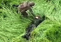 UA soldiers evacuate ORC that tried to surrender and set off a mine
