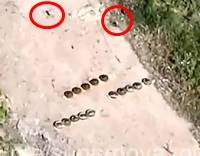 A Ukrainian drone demines a road with a single grenade