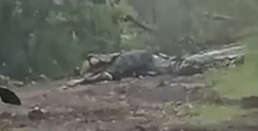Ukrainian machine gunner looks out at a dead ORC