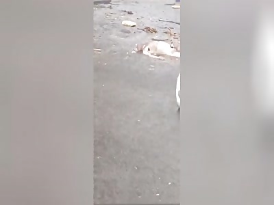 Corpse floats in the streets after heavy rain in Colima