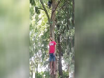 The motorcyclist hanged himself from a tree