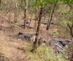 Bodies of UA soldiers in the forests near Kremenna
