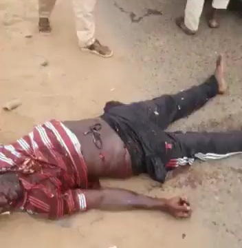 Sudanian army kill two militia members 