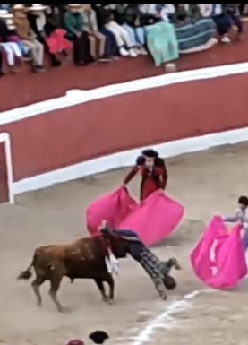Drunk man was attacked by ferocious bull