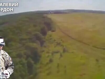UA FPV drone flew into the bushes on the truck and the Russians