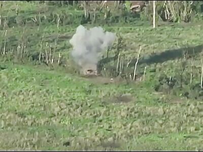 UA kamikaze drone destroyed Russian T-80 tank