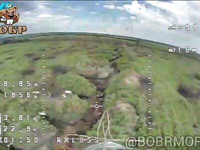 FPV Hits Ukrops In Trenches 