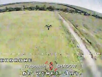 UA Kamikaze drone removed Bukhanka