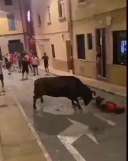 Spanish bull breaking his victims 