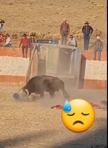 BRUTAL DEATH, Peruvian man killed by beautiful bull